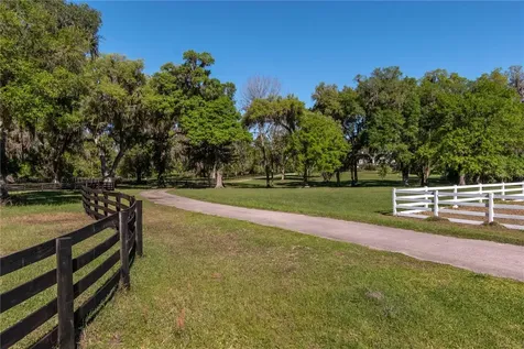 12275 W Highway 318 Reddick FL 32686