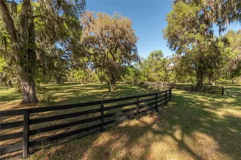 12275 W Highway 318 Reddick FL 32686