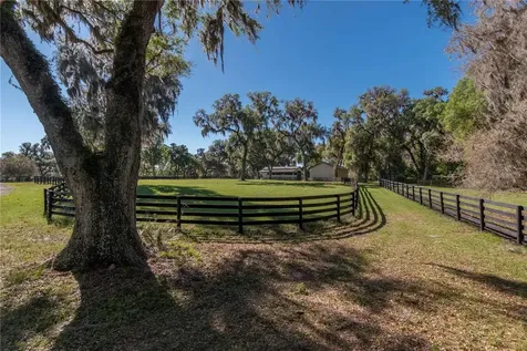 12275 W Highway 318 Reddick FL 32686