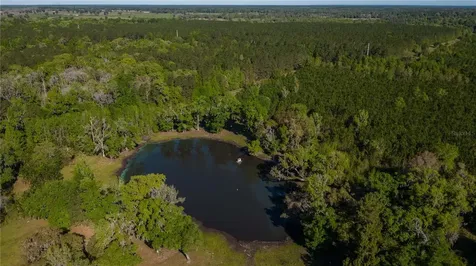 12275 W Highway 318 Reddick FL 32686