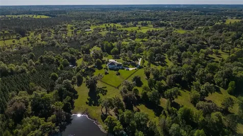 12275 W Highway 318 Reddick FL 32686