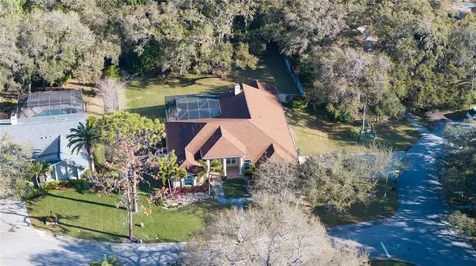 1338 Weybridge Lane Dunedin FL 34698