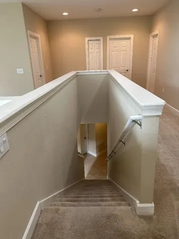 16067 Bella Woods Drive Tampa FL 33647