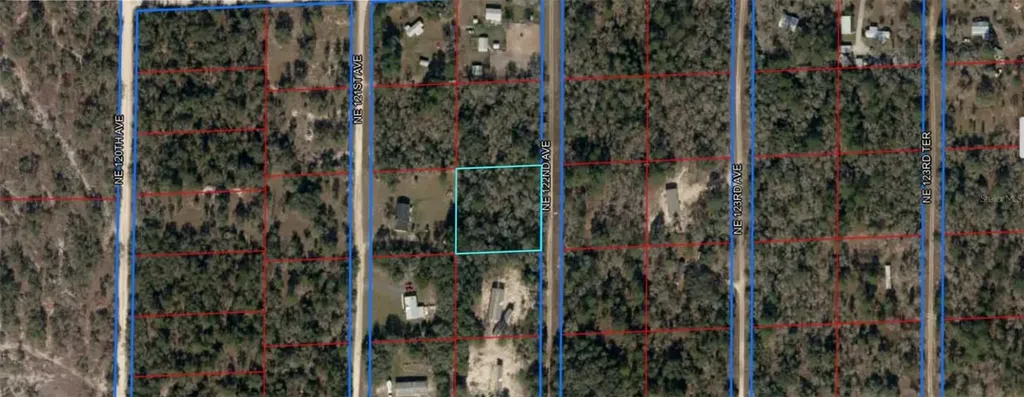00 NE 122nd Avenue Williston FL 32696