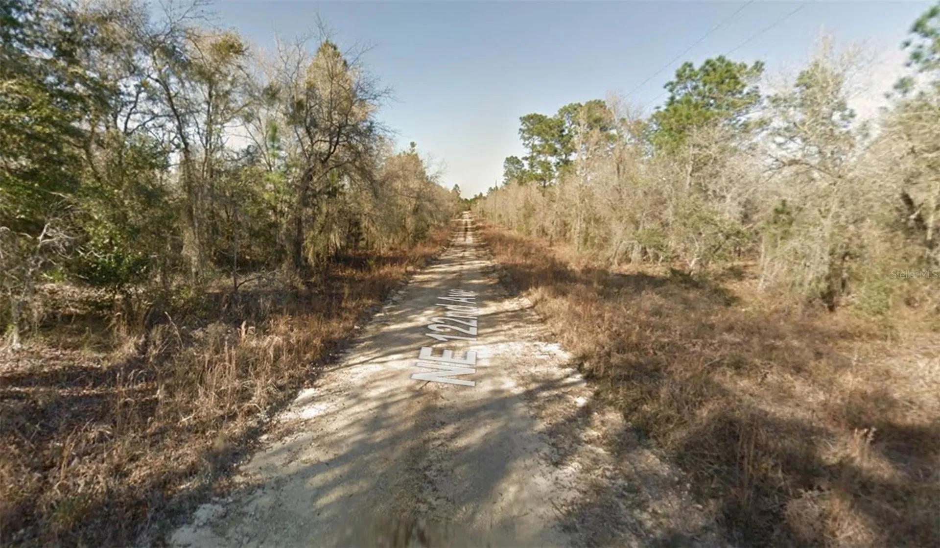 00 NE 122nd Avenue Williston FL 32696