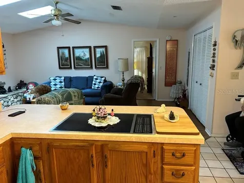 26235 Troon Avenue Sorrento FL 32776