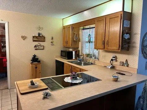26235 Troon Avenue Sorrento FL 32776