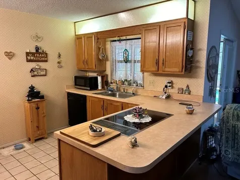 26235 Troon Avenue Sorrento FL 32776