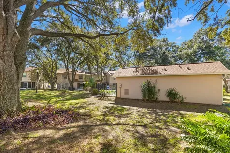 2146 Fletchers Point Circle Tampa FL 33613