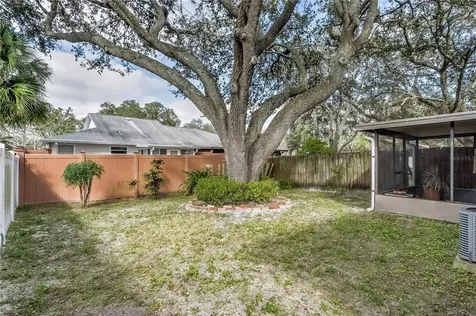 4409 Pine Meadow Court Tampa FL 33624