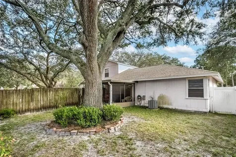 4409 Pine Meadow Court Tampa FL 33624
