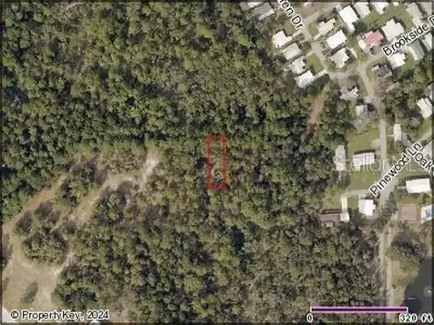 Karen Drive Mount Dora FL 32757