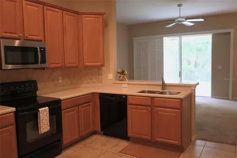 5168 Rishley Run Way Mount Dora FL 32757
