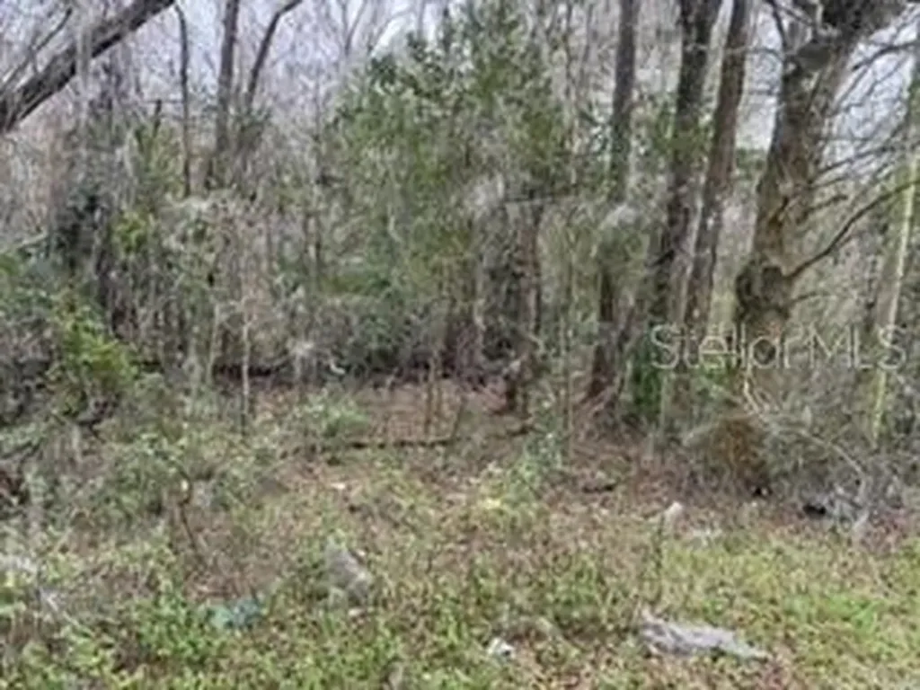 Unassigned State Road 24 Archer FL 32618