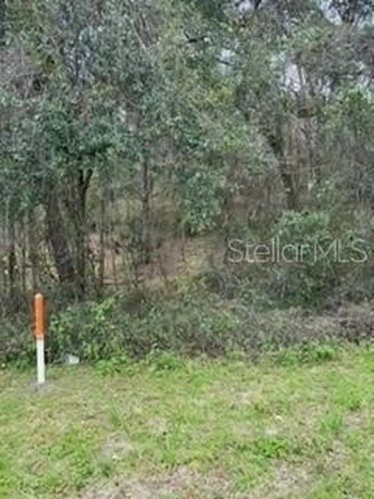 Unassigned State Road 24 Archer FL 32618
