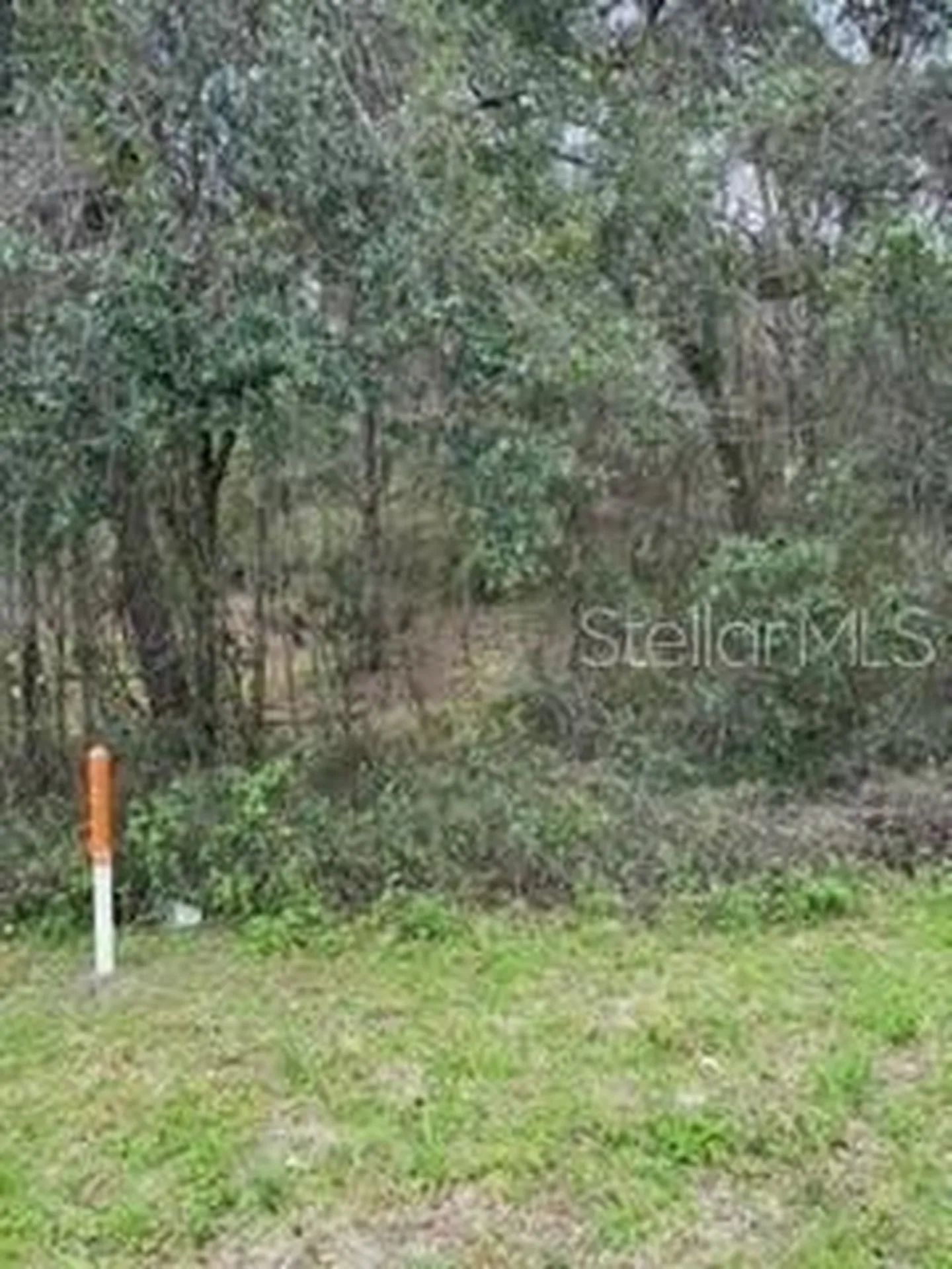 Unassigned State Road 24 Archer FL 32618