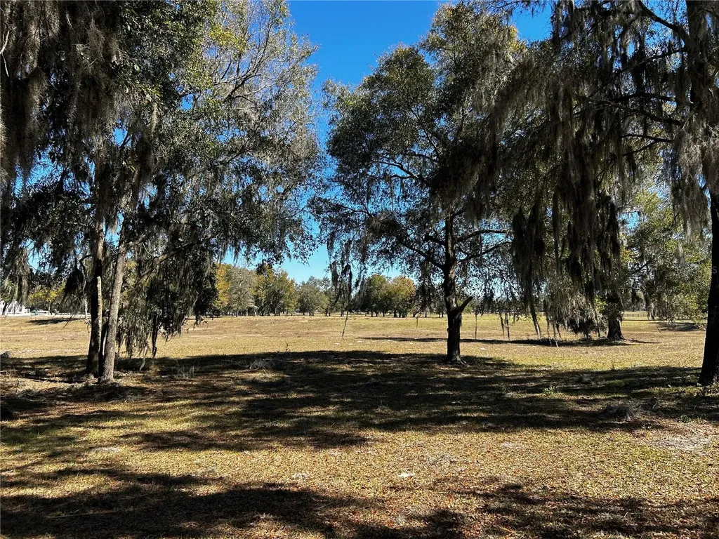 0000 NW 464b Morriston FL 32668
