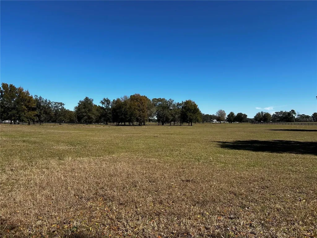 0000 NW 464b Morriston FL 32668