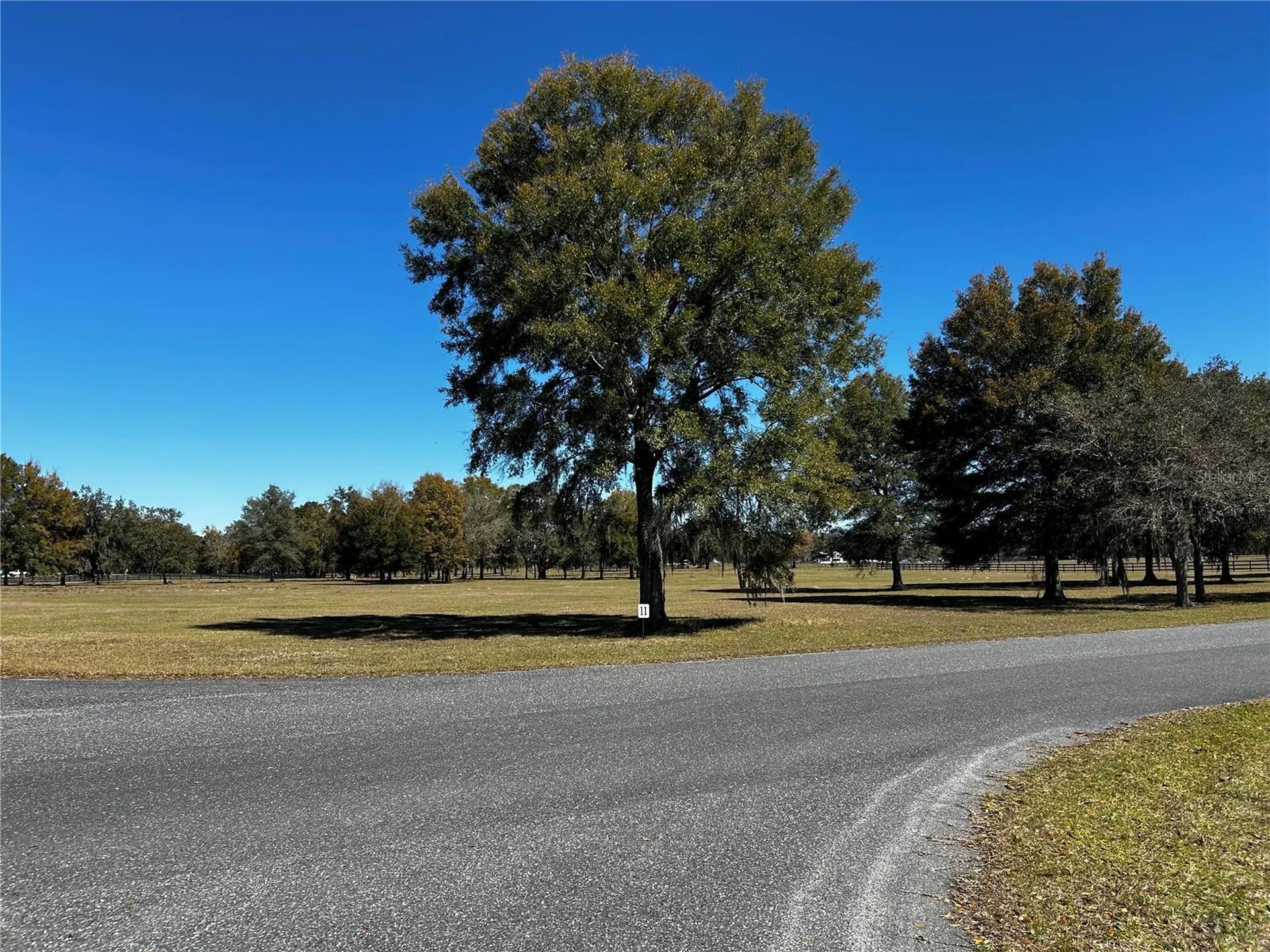 0000 NW 464b Morriston FL 32668