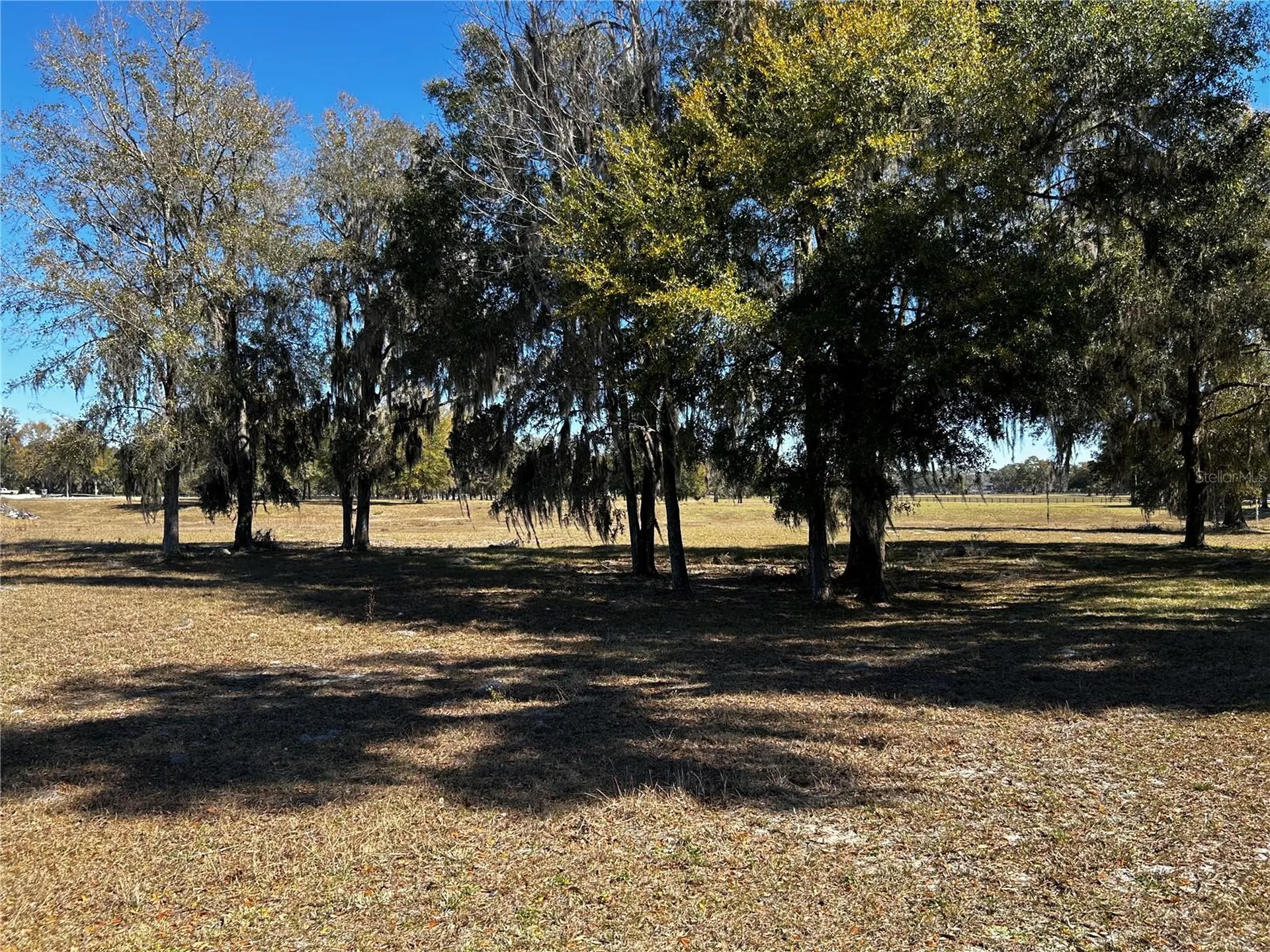 0000 NW 464b Morriston FL 32668