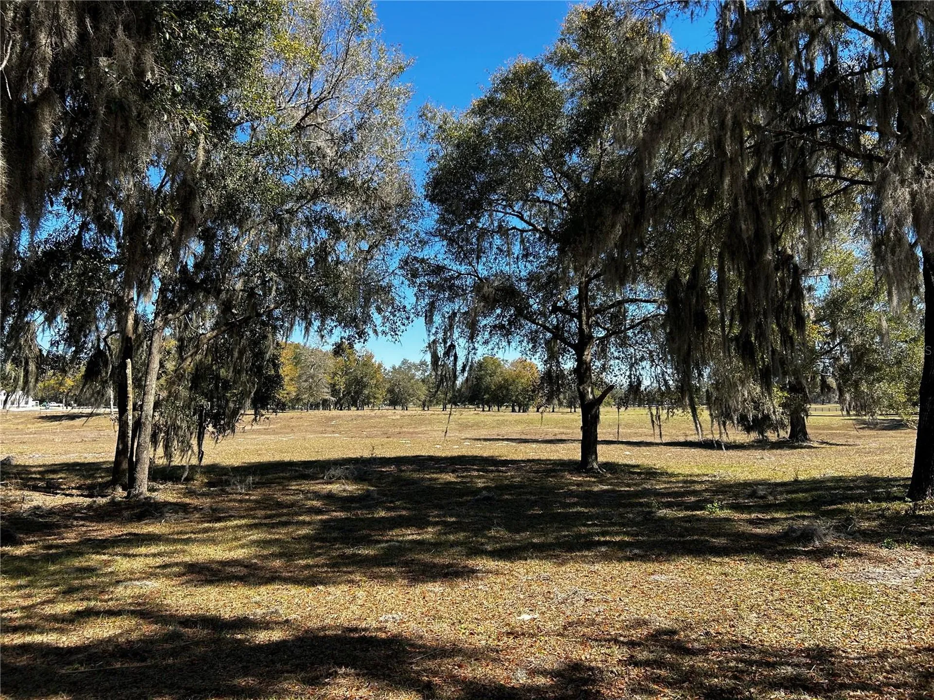 0000 NW 464b Morriston FL 32668
