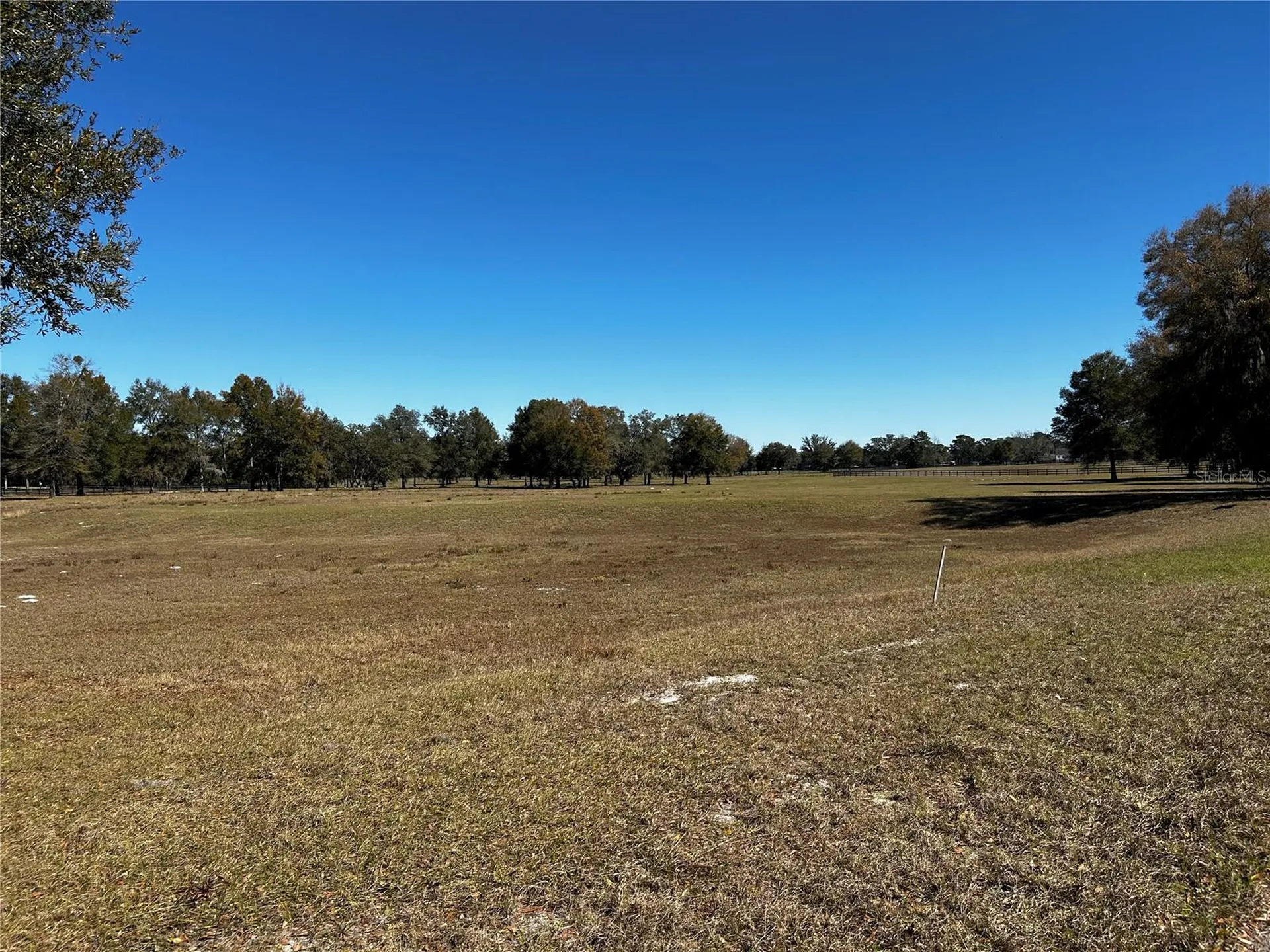 0000 NW 464b Morriston FL 32668