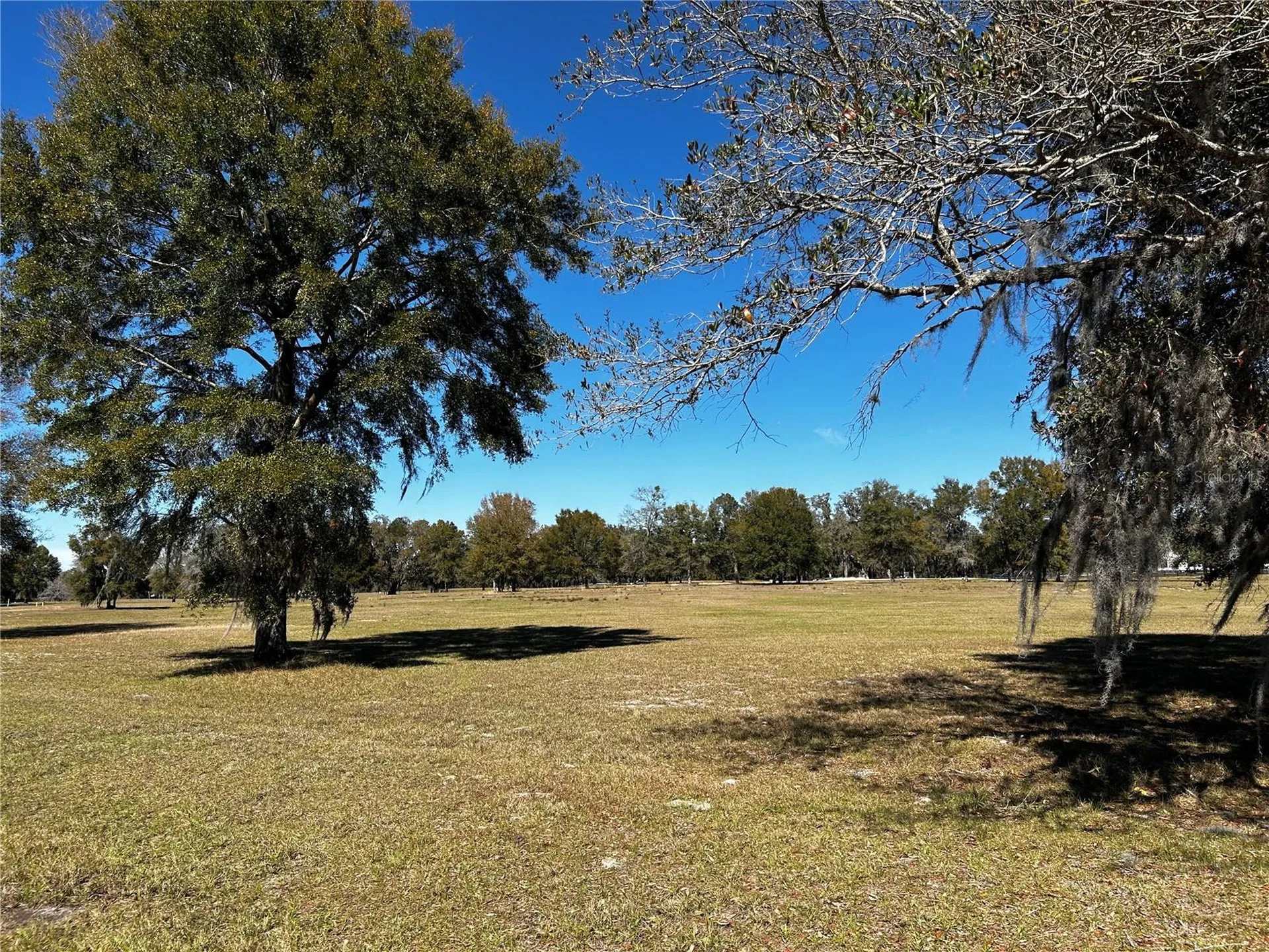 0000 NW 464b Morriston FL 32668