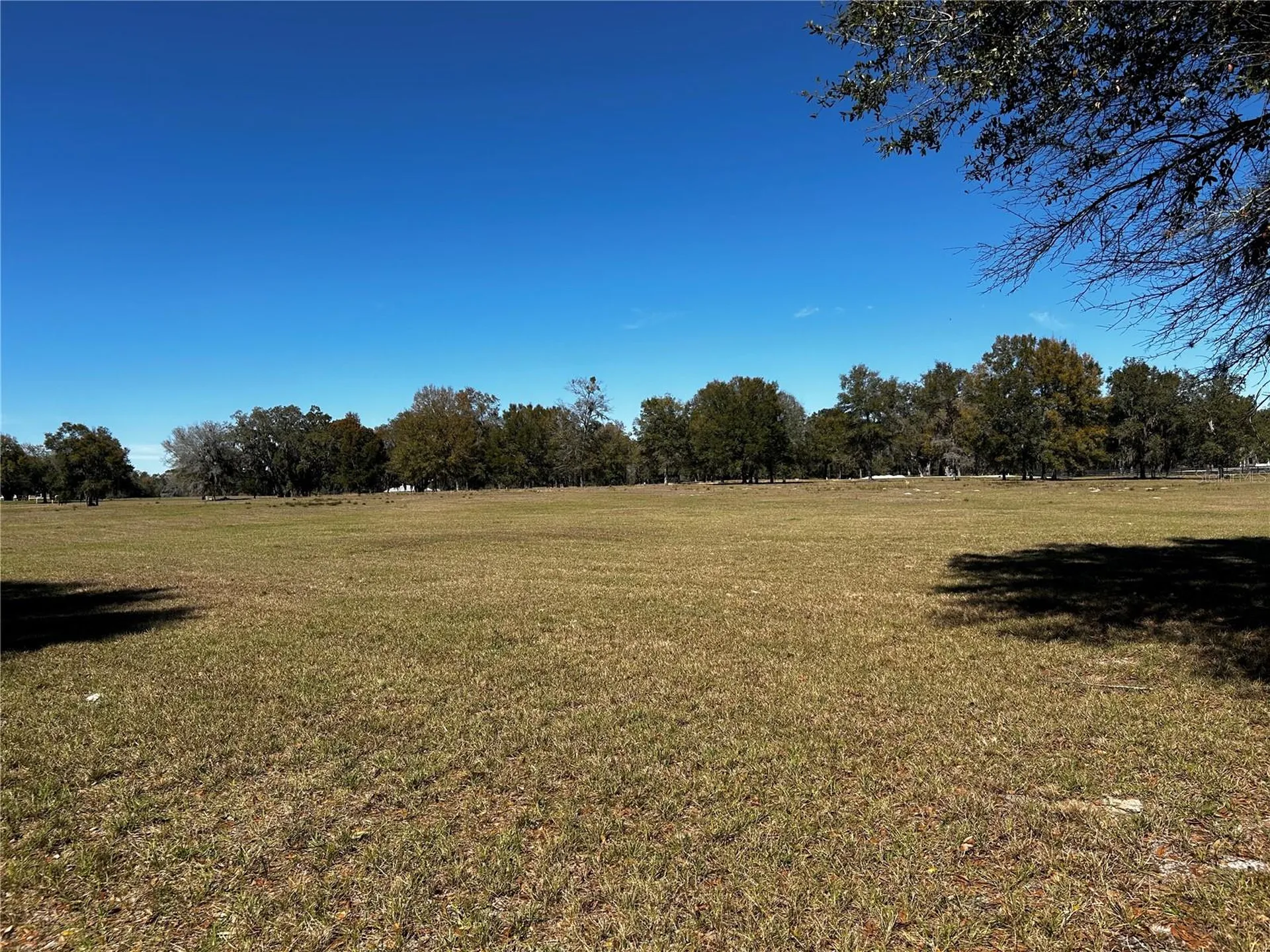 0000 NW 464b Morriston FL 32668
