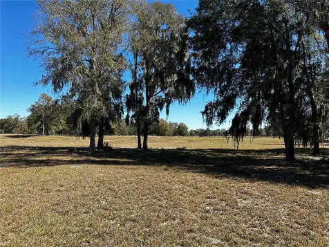 0000 NW 464b Morriston FL 32668