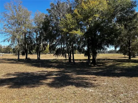0000 NW 464b Morriston FL 32668