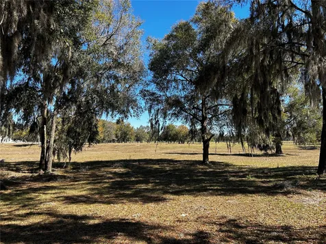 0000 NW 464b Morriston FL 32668