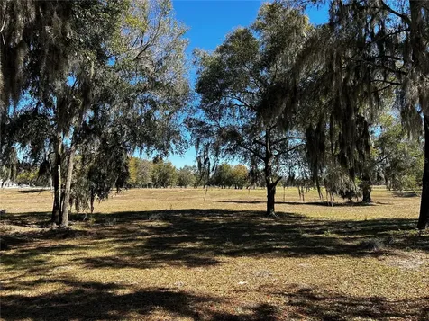 0000 NW 464b Morriston FL 32668