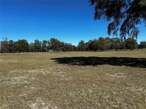 0000 NW 464b Morriston FL 32668