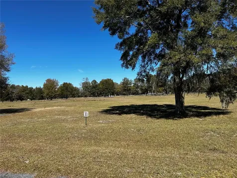 0000 NW 464b Morriston FL 32668