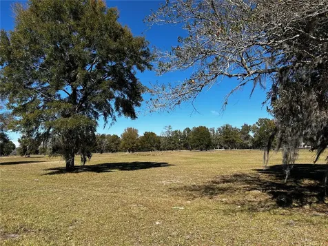 0000 NW 464b Morriston FL 32668