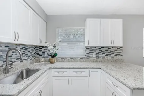 1006 Kirkland Drive Tampa FL 33619