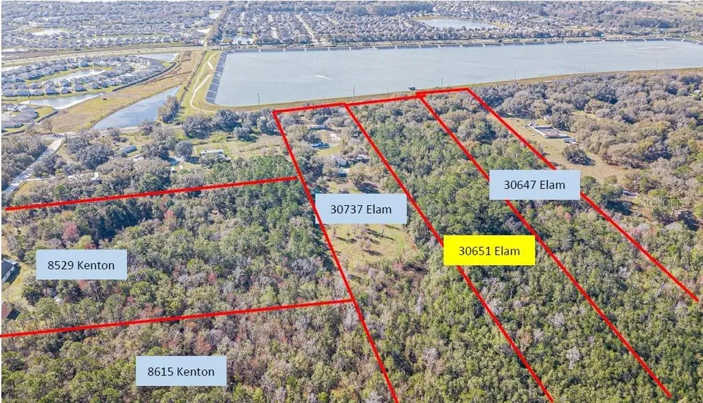 30651 Elam Road Wesley Chapel FL 33545