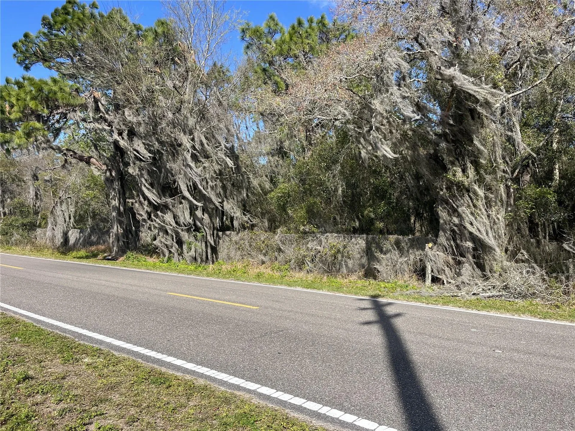 30651 Elam Road Wesley Chapel FL 33545
