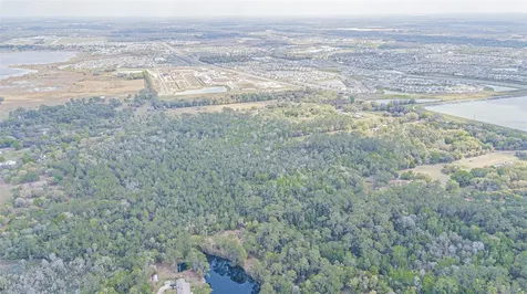 30651 Elam Road Wesley Chapel FL 33545