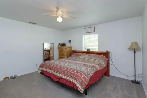 31329 Church Street Sorrento FL 32776