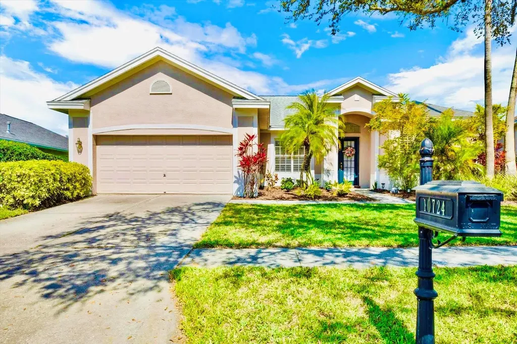 10724 Tavistock Drive Tampa FL 33626