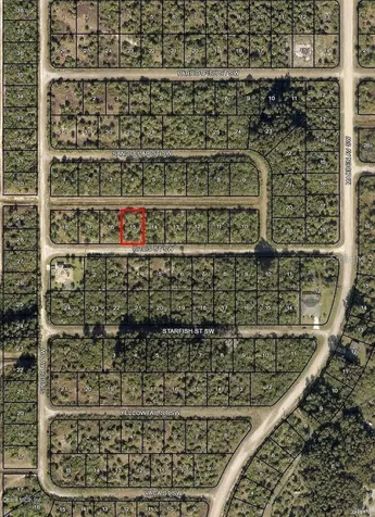871 Bitlis Street SW Palm Bay FL 32908
