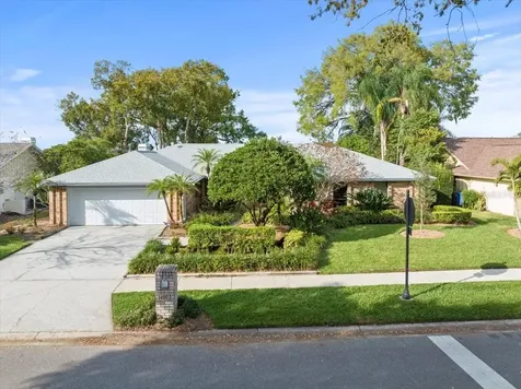 14002 Shady Shores Drive Tampa FL 33613