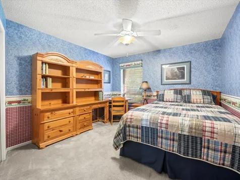 14002 Shady Shores Drive Tampa FL 33613