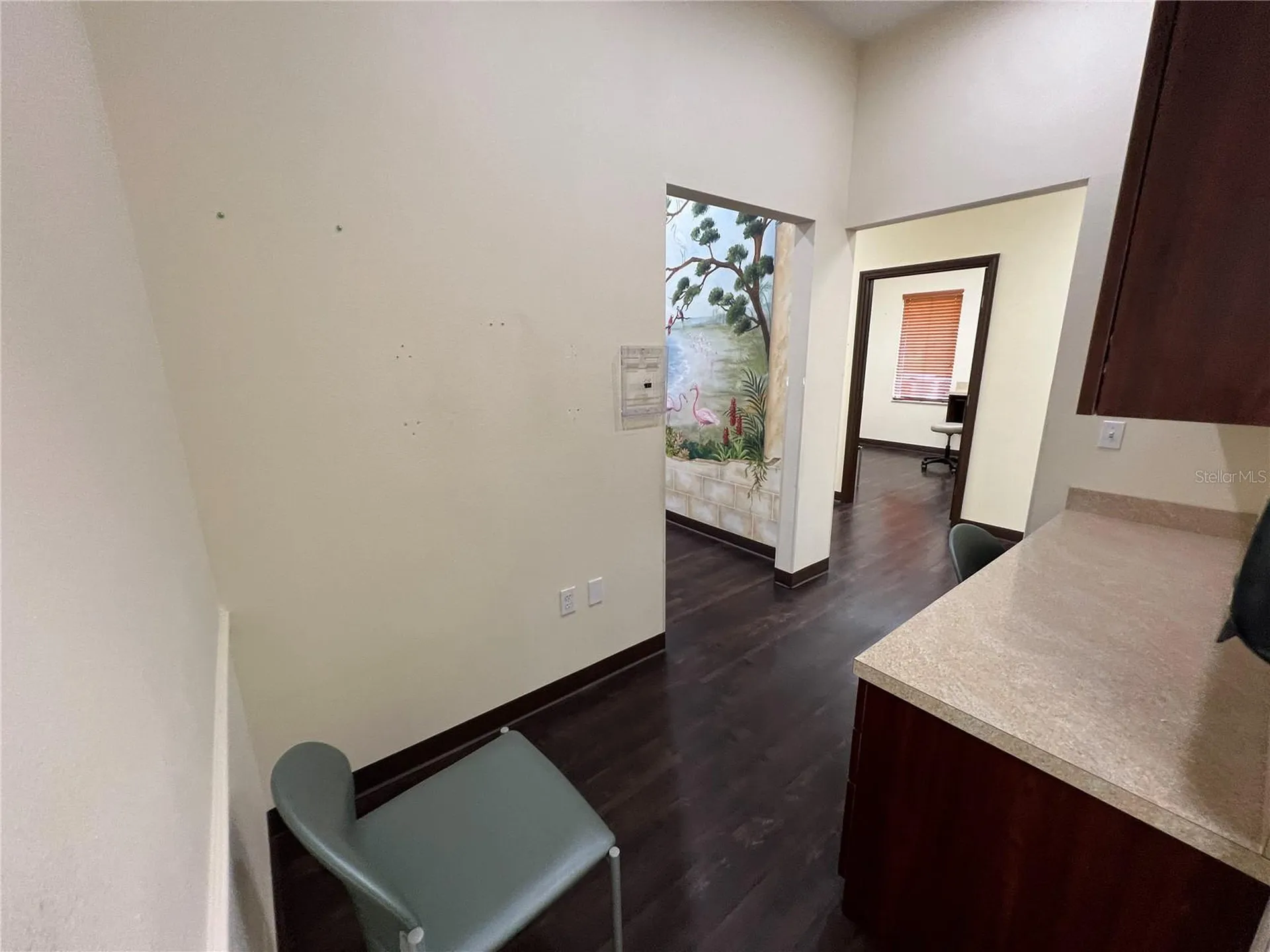 533 Medical Oaks Avenue Brandon FL 33511