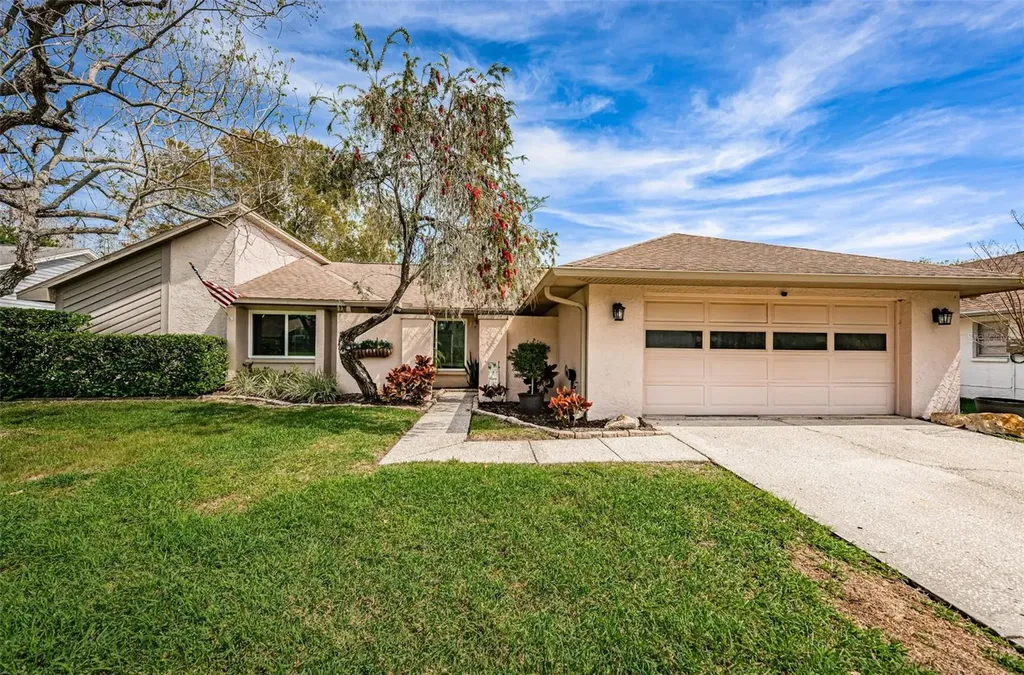 15103 Springview Street Tampa FL 33624