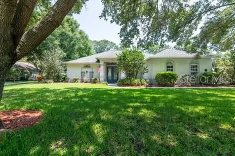 1532 Camphor Cove Drive Lutz FL 33549