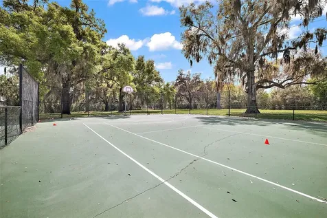 23936 Sardinia Drive Sorrento FL 32776