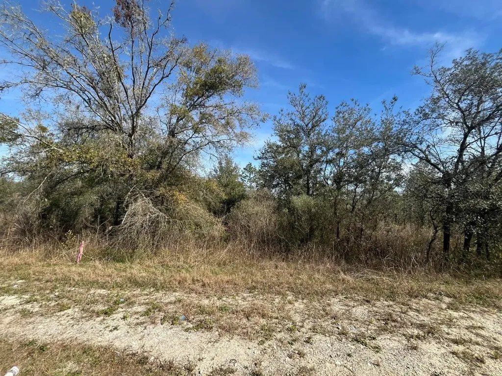 Tbd Lakeview Trail Interlachen FL 32148