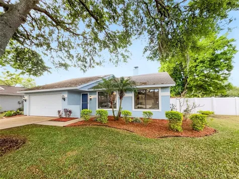 5830 Silver Moon Avenue Tampa FL 33625
